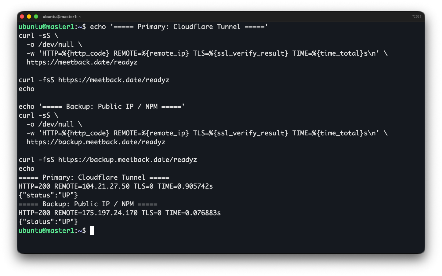 Cloudflare Tunnel과 NPM 경로의 readyz 요청이 모두 HTTP 200과 상태 UP을 반환한 결과