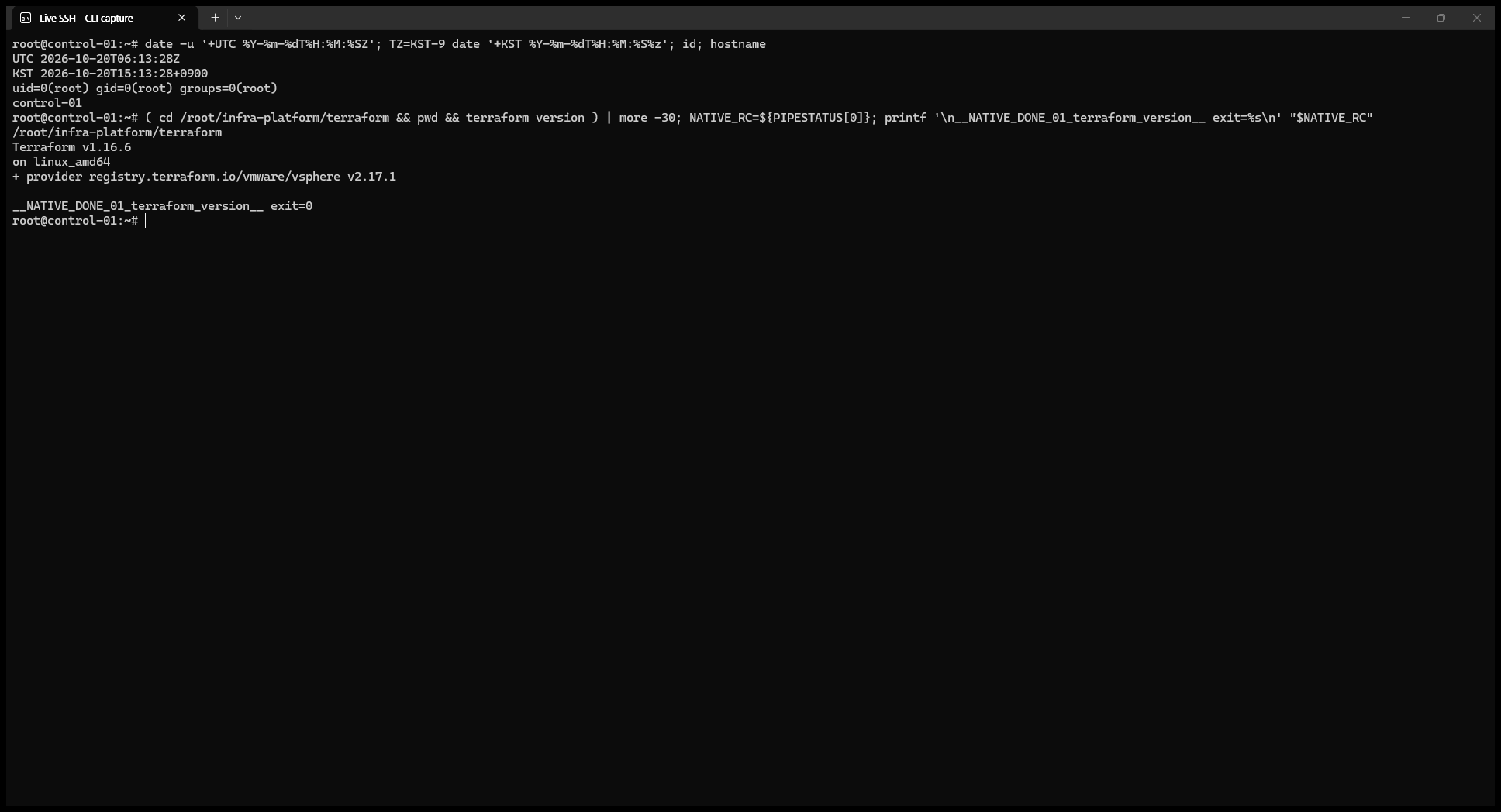 Terraform 1.16.6과 vSphere Provider 2.17.1